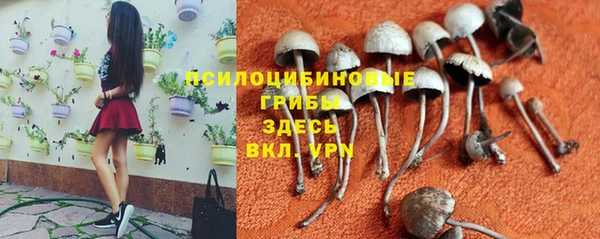 герыч Богородск