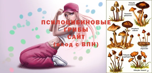 герыч Богородск