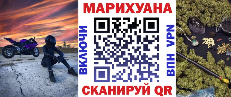 Бошки Шишки план  Северская 